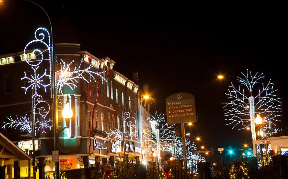 Above the Tree Tops (#49) Holiday home