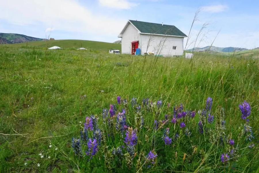 My Mongolia Eco Ger Camp