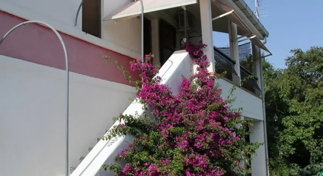 Bed and Breakfast Lola