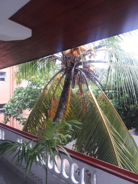 Happy Night Holiday Inn