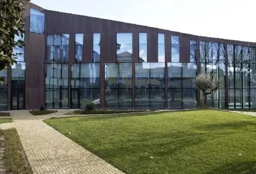 Camelia Hotel & Homes