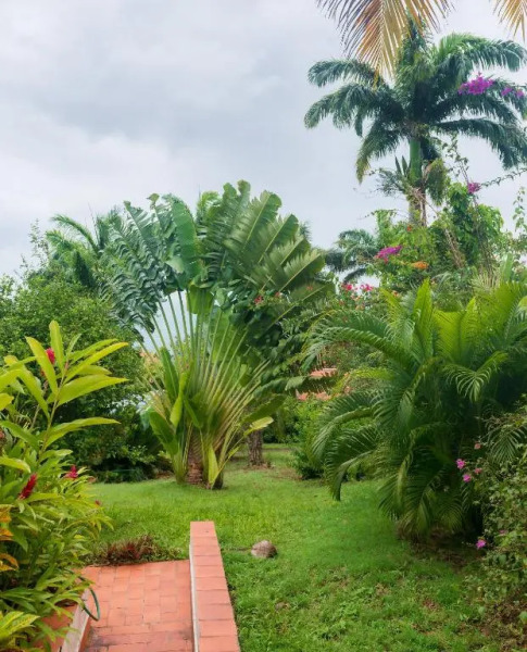 Royal Palm Holiday Apartment