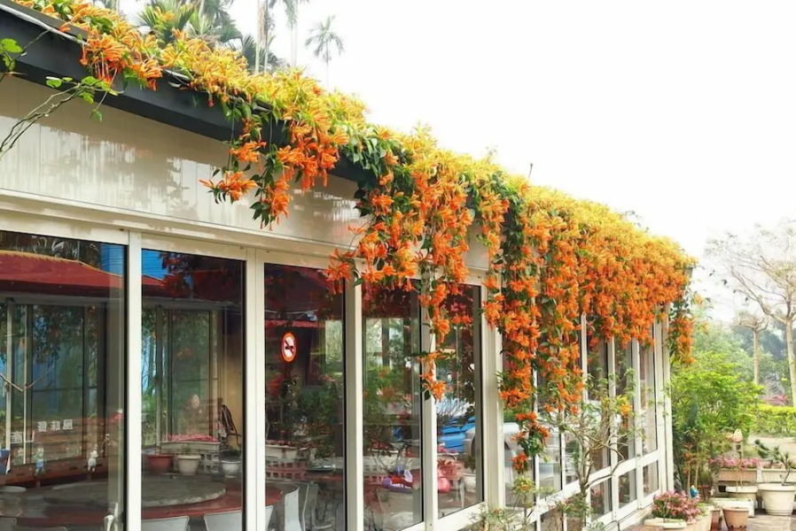 Tian Xiu Mountain Village