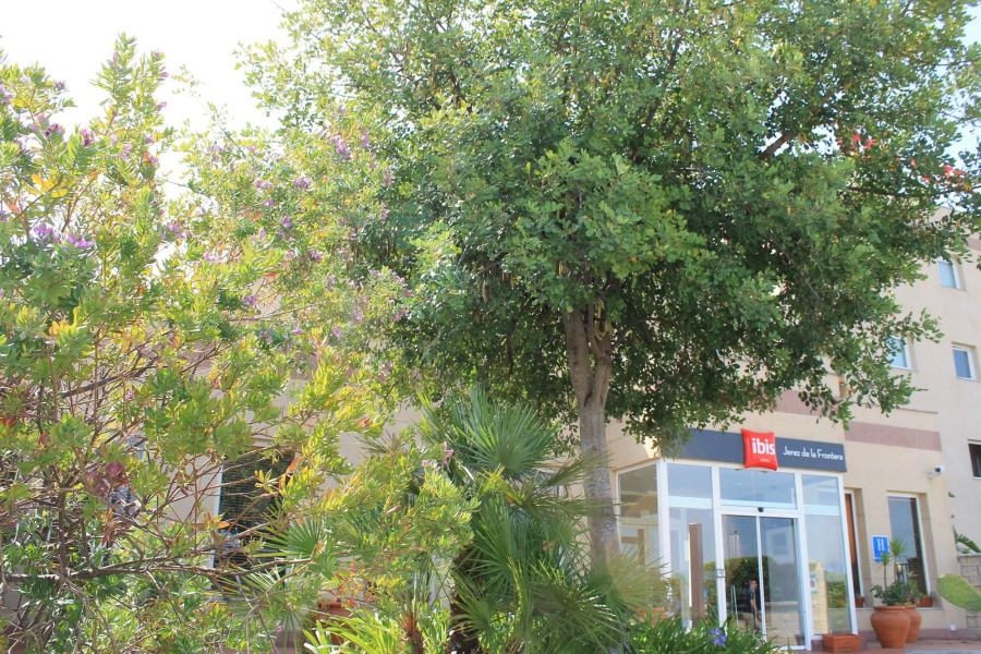 ibis Jerez de La Frontera