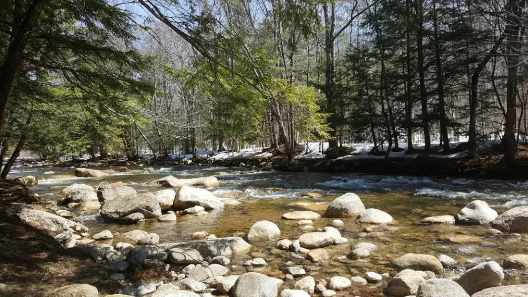 Franconia Notch Motel