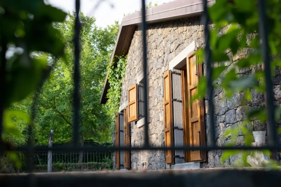 Il Castagno dell'Etna