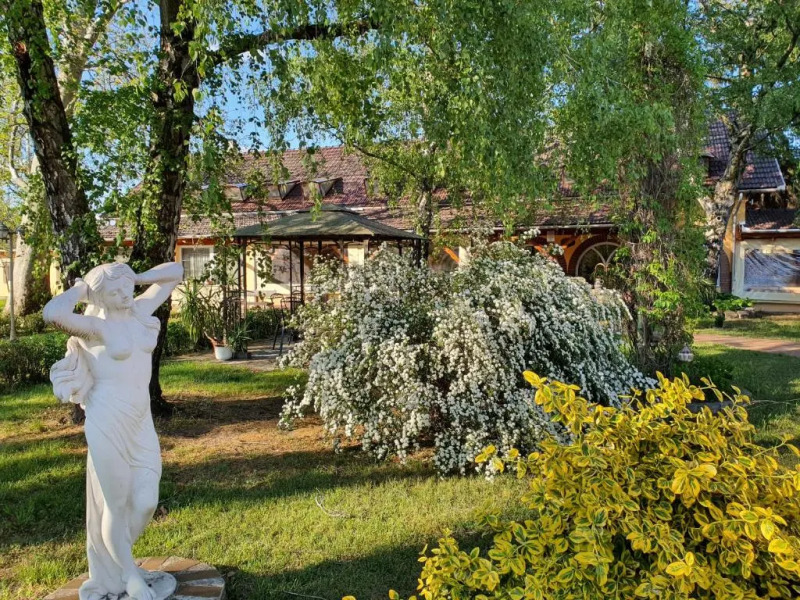 Platán Szálláshely