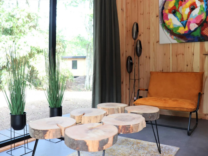 Unique Holiday Home in Dalerveen With Garden