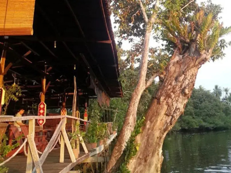 Monkey Tops River Lodge