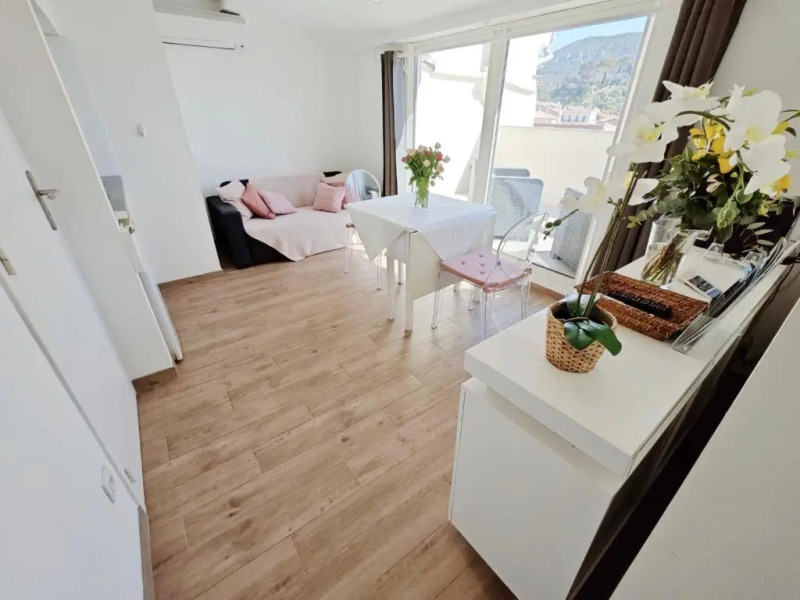 Appartement Bellevue