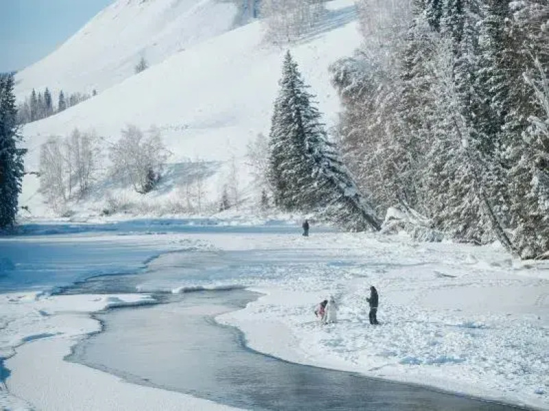 naked Home · Hemu Altay