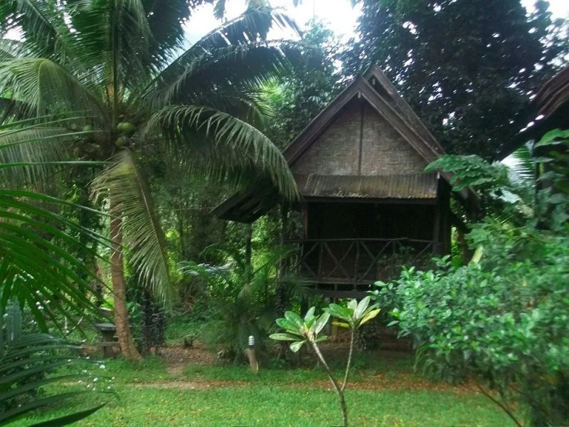 Bamboo House