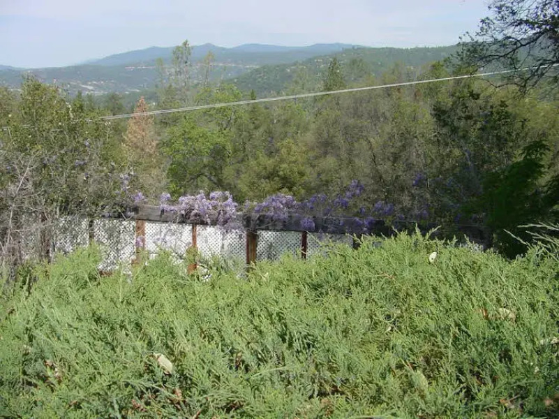 Vultures View Bed and Breakfast