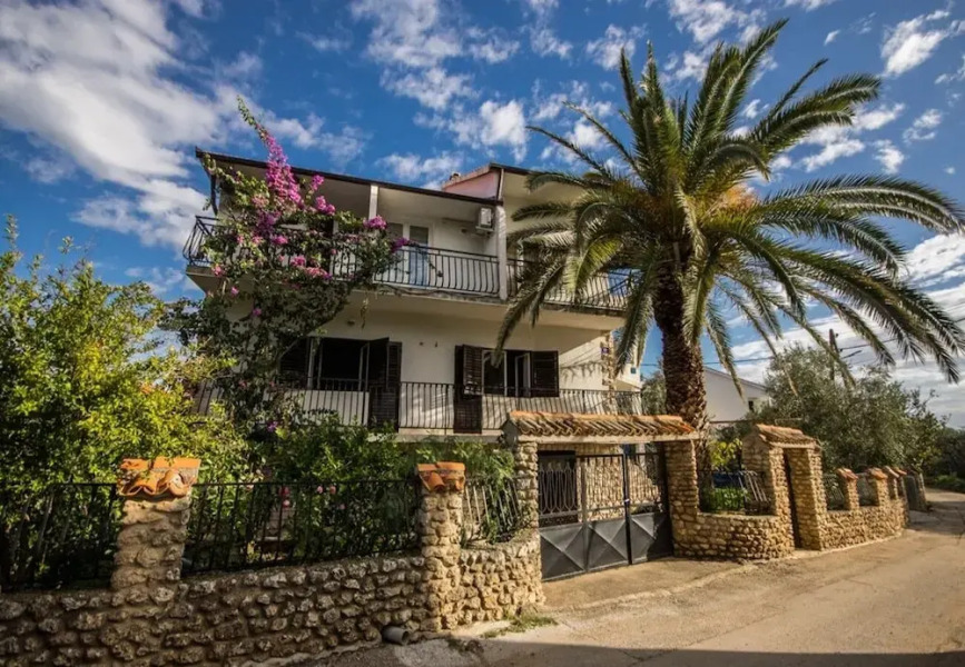 Daju - 3 Colours - A3 Narančasti