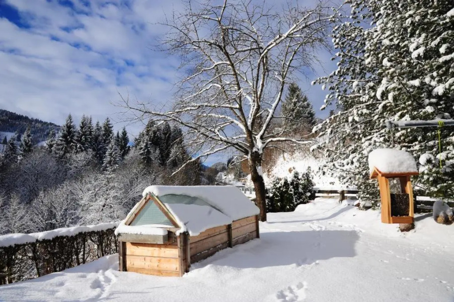 Appartement Lechthaler