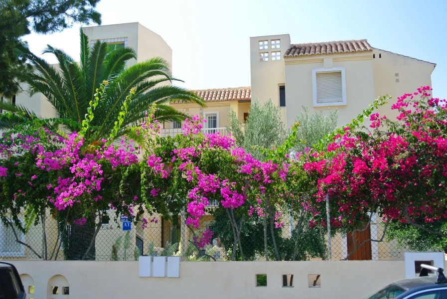 Apartamentos Moguima