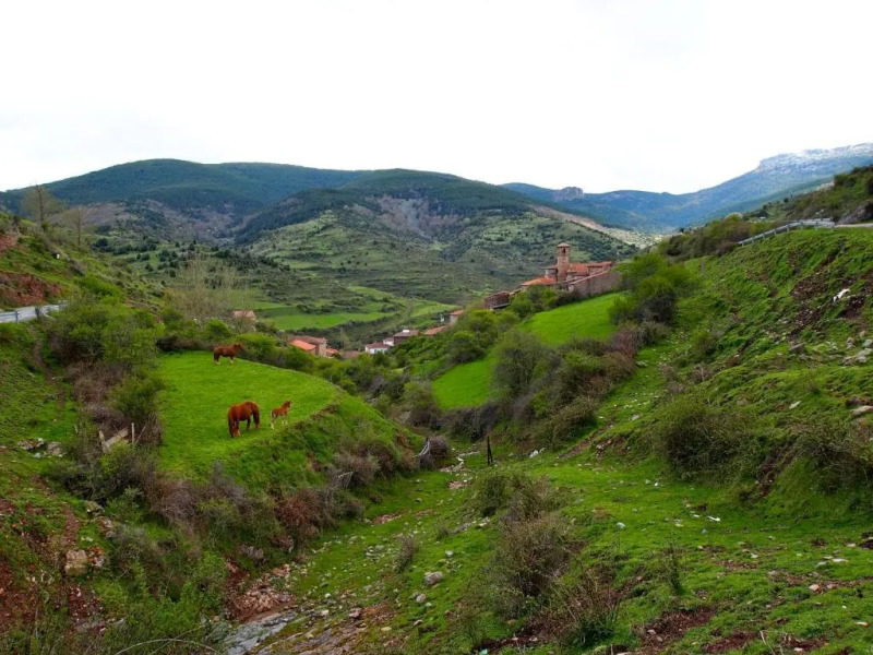Posada Real LA ALMAZUELA