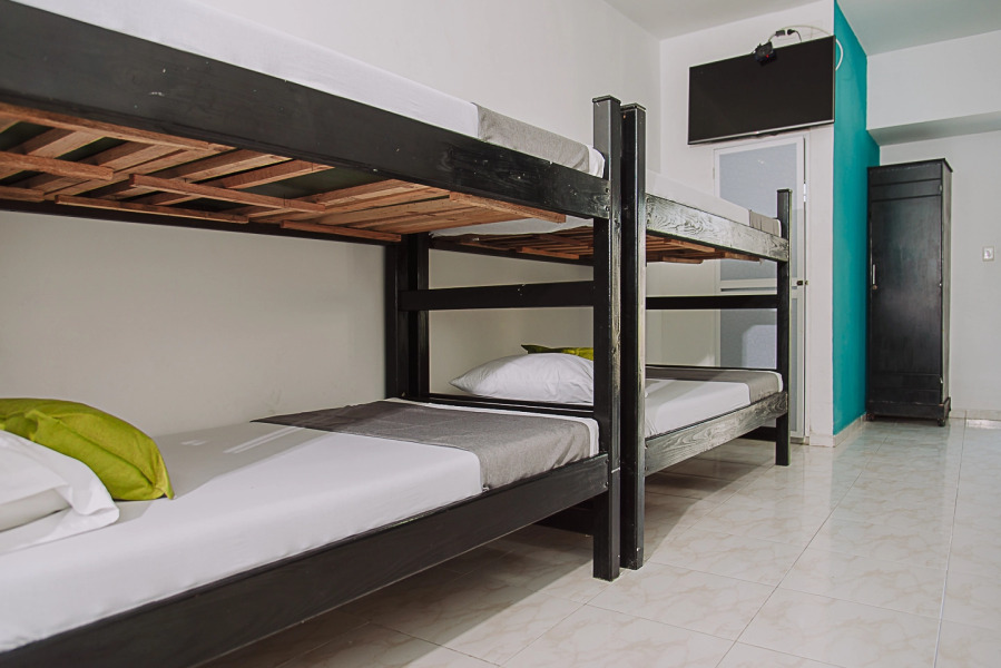 Cuchara De Palo Del Paisa