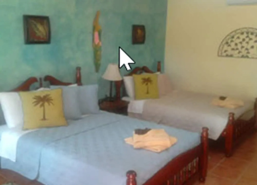 Cabinas Indigenas de Drake