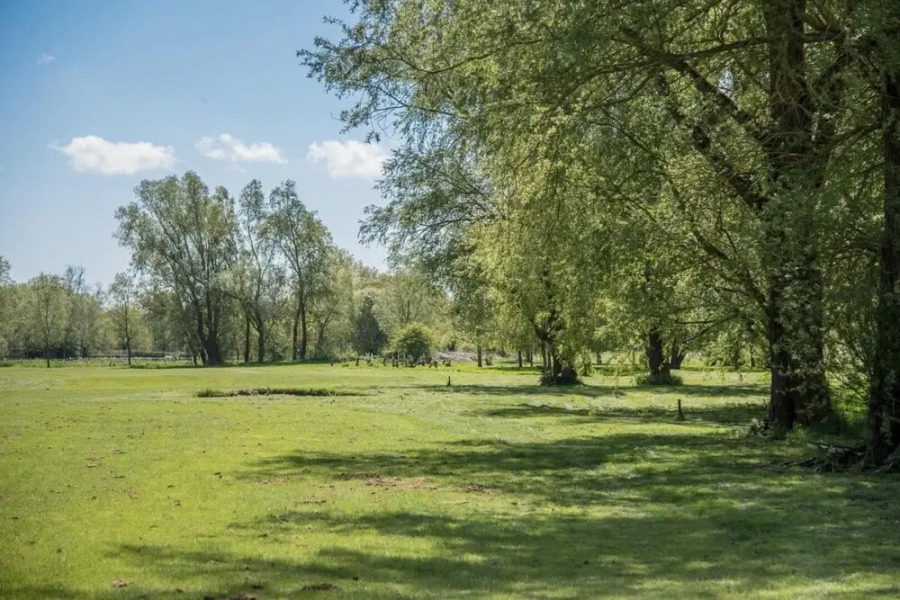 Laurel Lodge Kingfishers