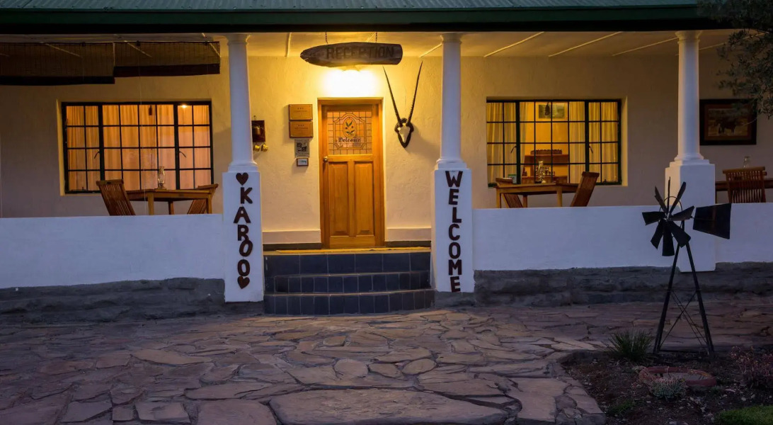 Olive Grove Guest Farm