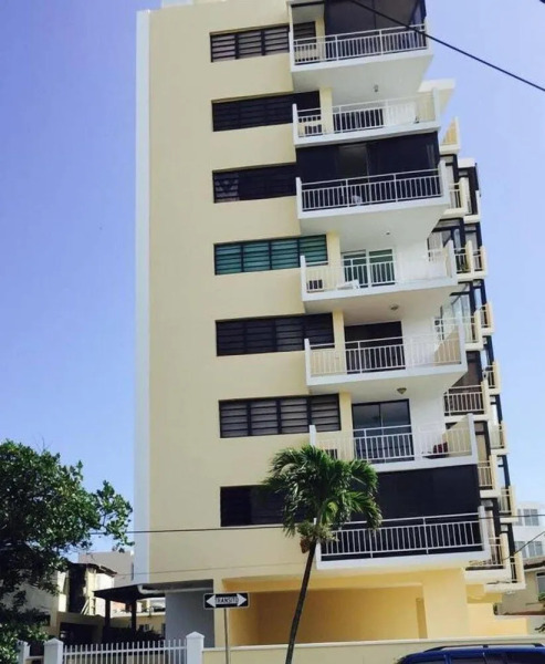 Starfish by the Ocean