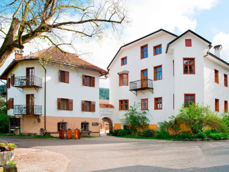 Apartments Ansitz Wildberg