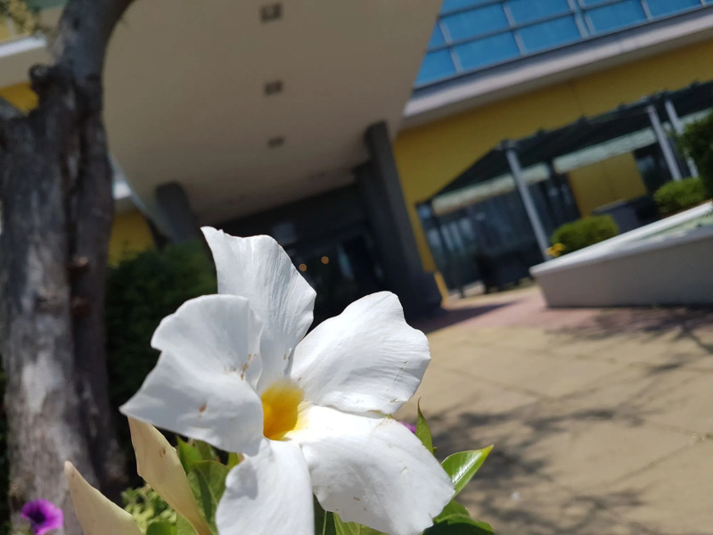 Best Western Hotel Class