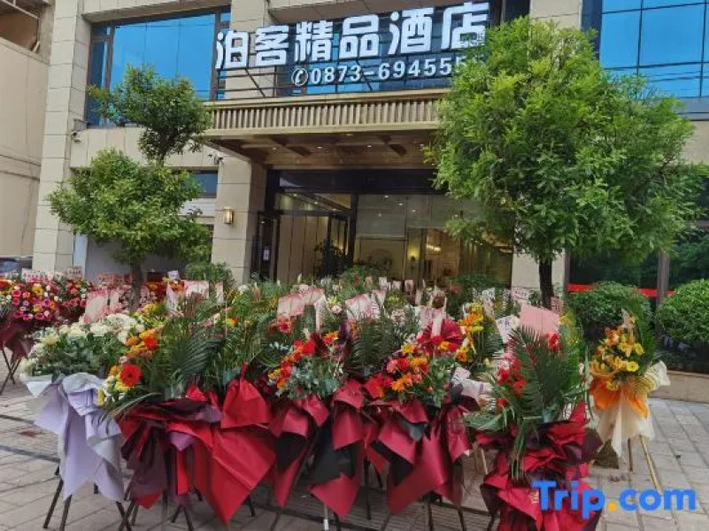 New Zealand Boke Boutique Hotel