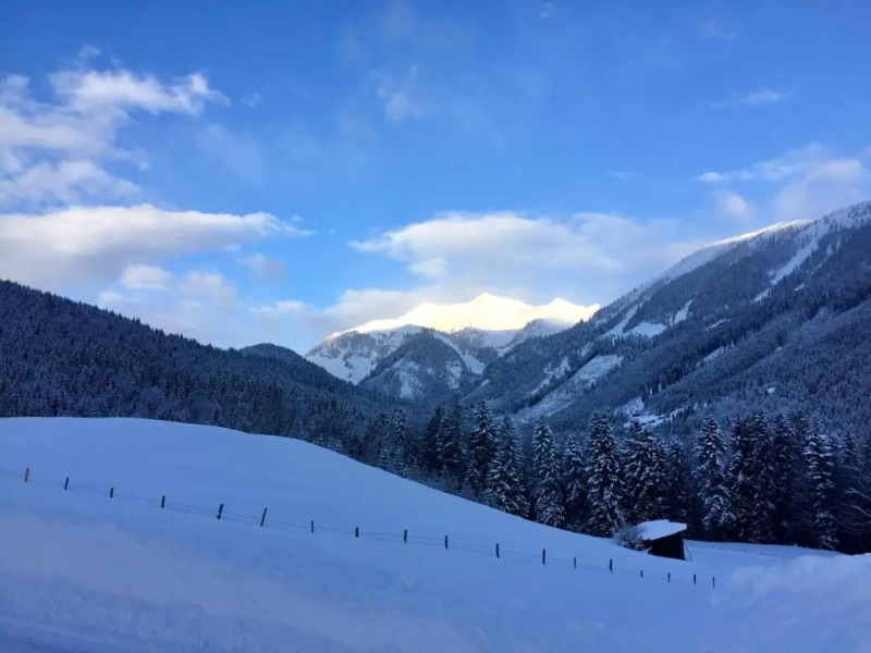Ferienwohnung Almflair Chalet
