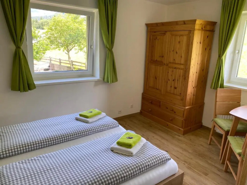 Haus Filzmoos in Austrian Alps