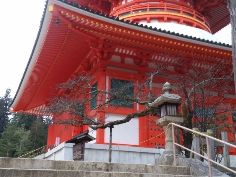 Guest House Saika Hostel