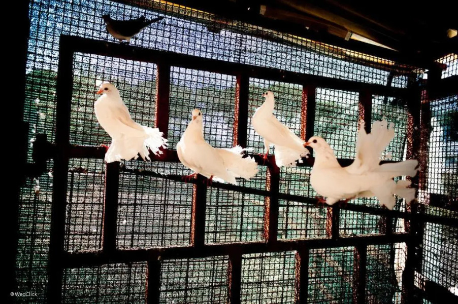 Agriturismo La Meridiana