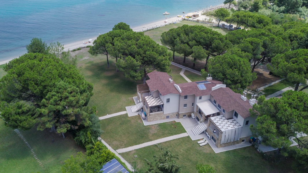 Zennova #12 Blue Pearl