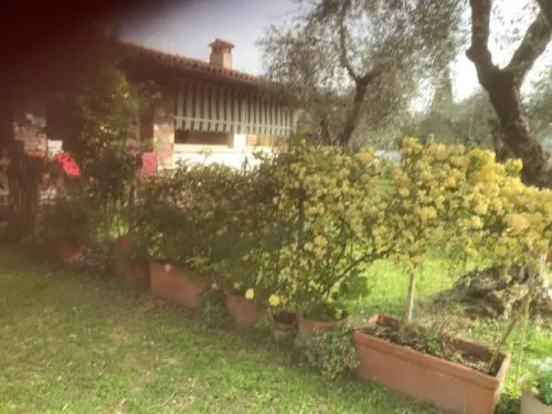 Una Casa tra gli Olivi