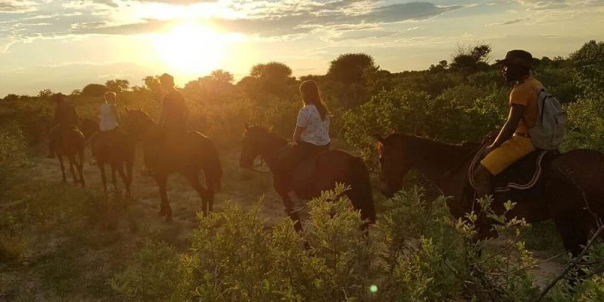 The Lodge at Feline Fields