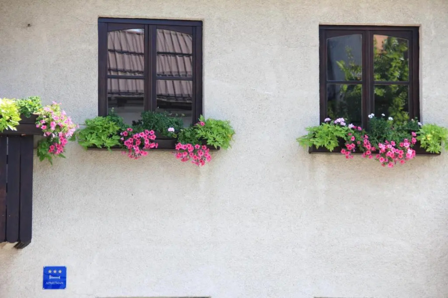 Apartment Apolon planinski