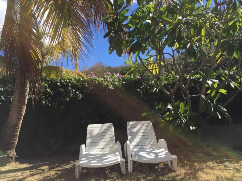 T2 tropical en bord de piscine à 100m de la mer