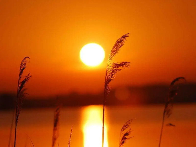 Ferienappartement in St. Margarethen