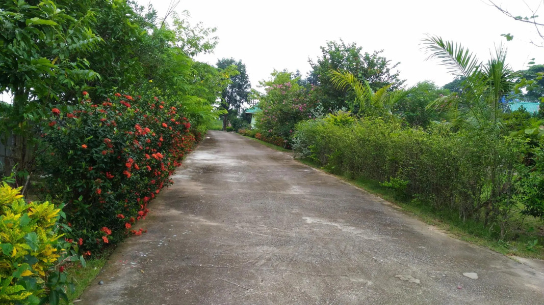 Chuanchom Resort Phuwiang