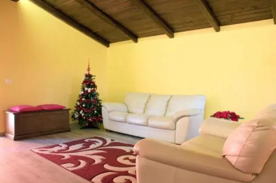 Il Ciclamino Roma Nord