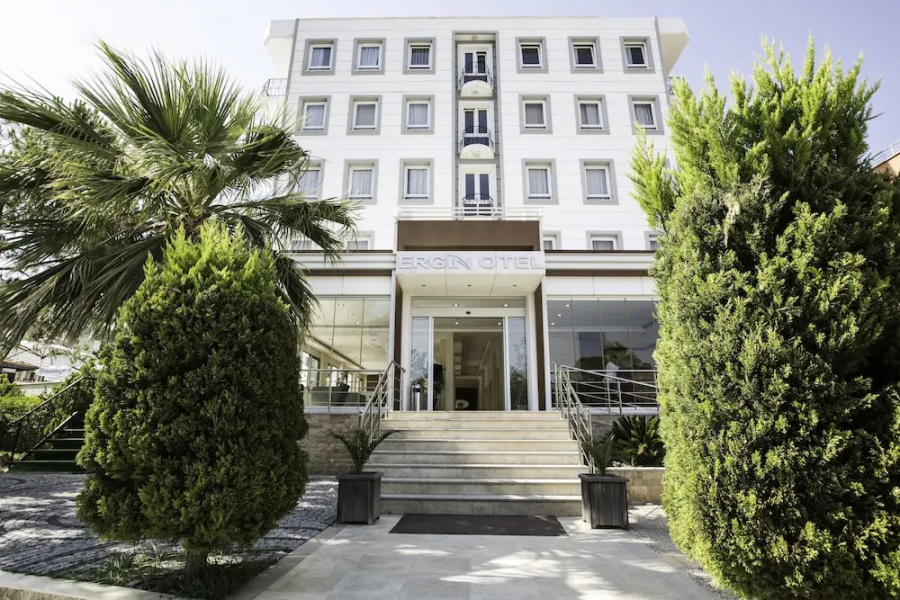 Ergin