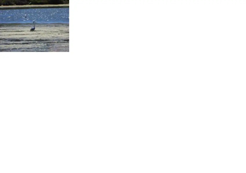 La Petite Maison Au Bord du Canal T2 - 3etoiles -