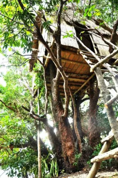 Ten103 Treehouse Bay