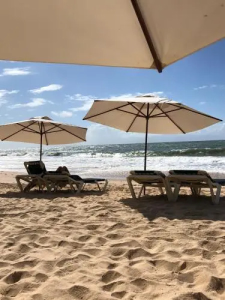 O Paraíso que você merece