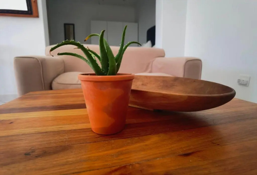 The Yellow Door Guesthouse