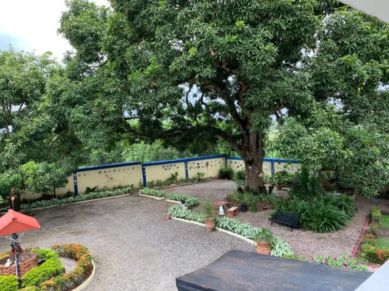 Sana El Jardin Secreto