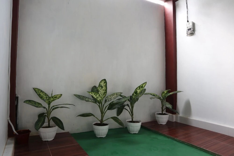 Hotel Penginapan Cemara Syariah by OYO Rooms