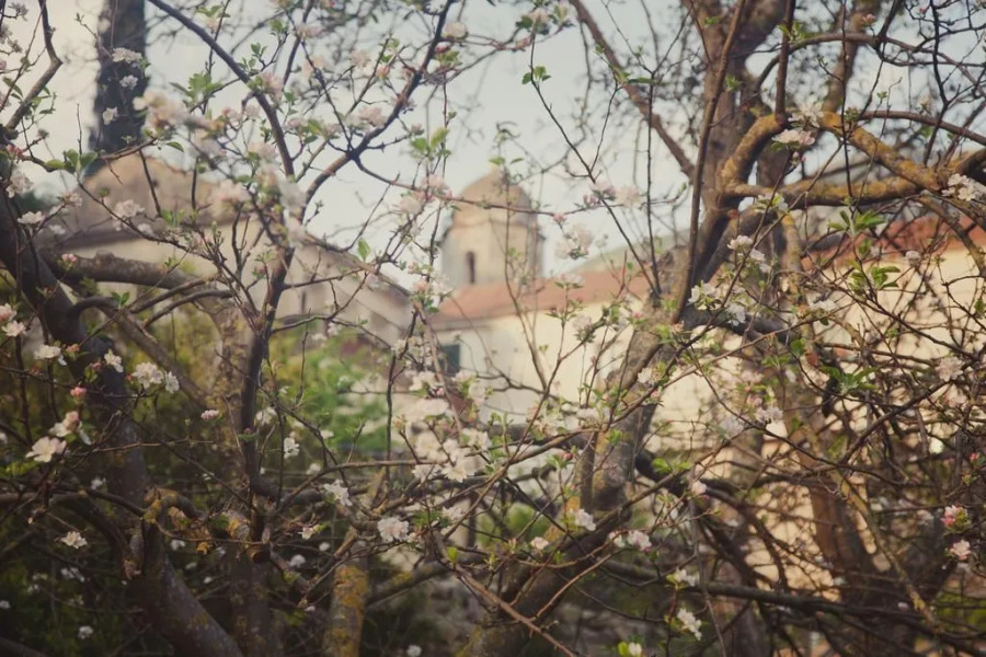 Citarella Country Estate