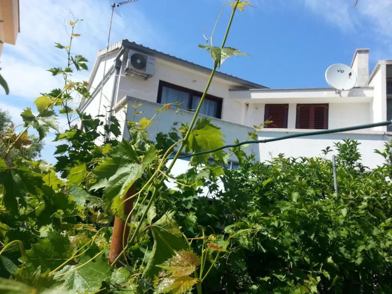 Apartments Maslina Božava